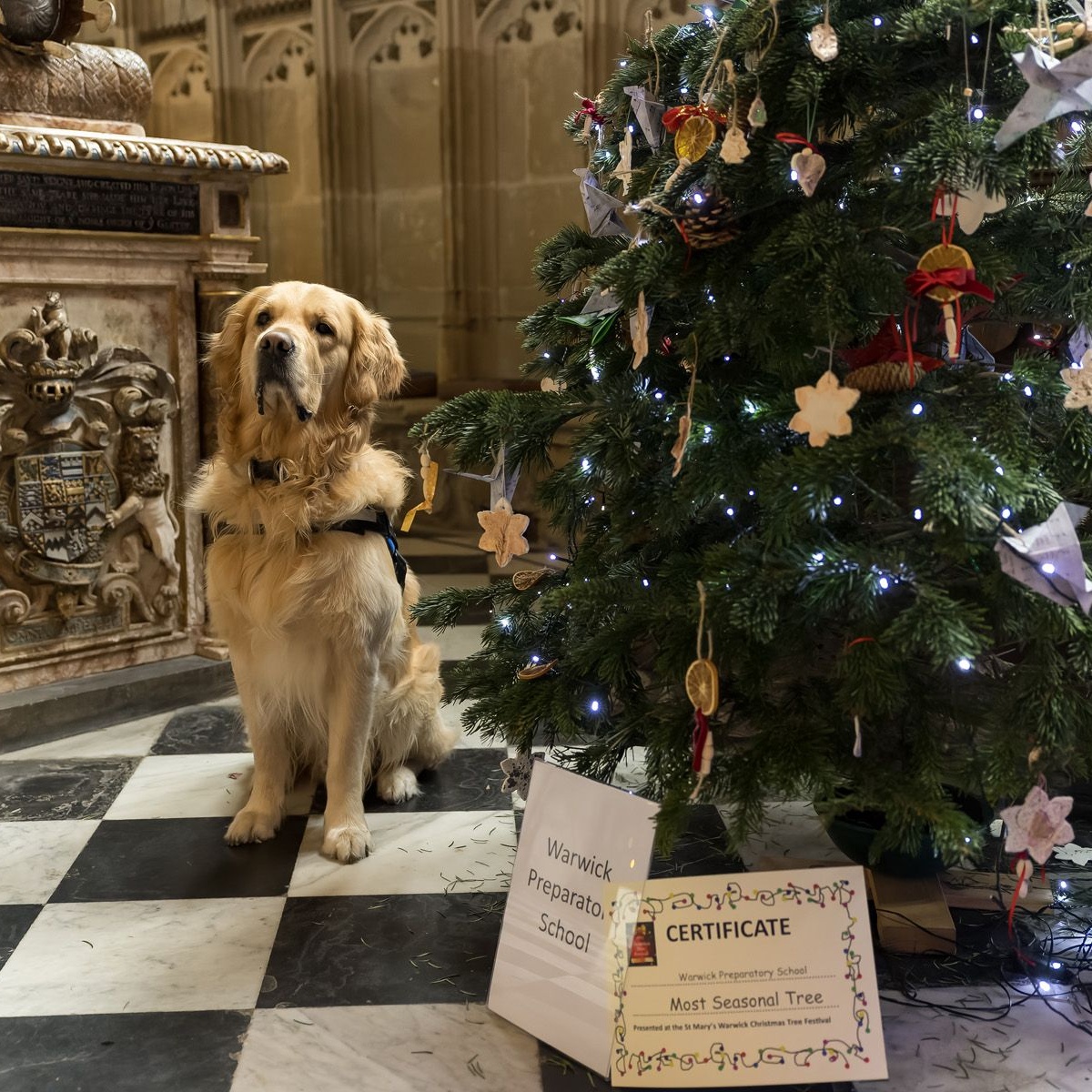 Warwick Preparatory School St Mary's Christmas Tree Festival Results!